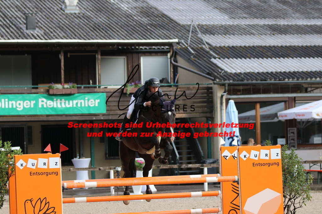 IMG_8661 | lmwpictures - Realisiert mit Pictrs.com