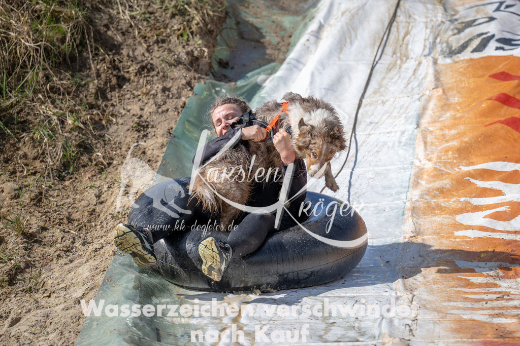 1155_ZZ91050 | kk-dogfotos