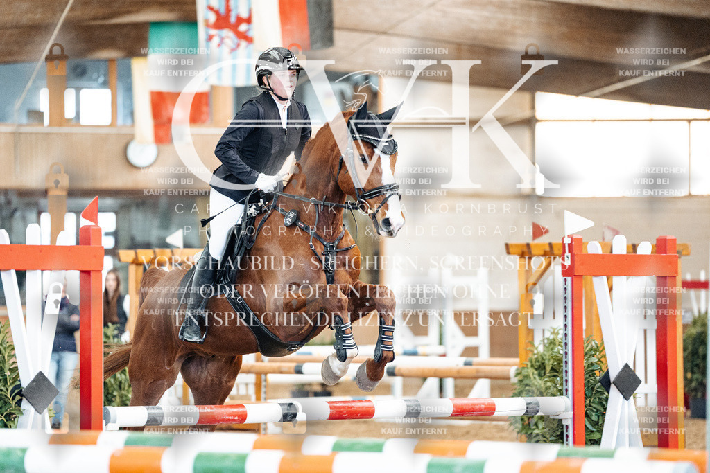 CK905051 | Turnierfotografie Pferdefotografie Trier Rheinland-Pfalz Pferdesport Reitsport Tierfotografie Sportfotografie Pferdevideo Pferdevideografie Equestrianvideography equestrianphotography  - Realized with Pictrs.com