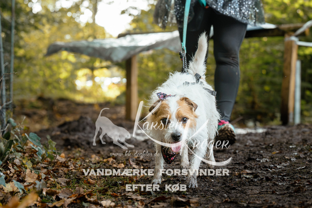 1401DZ6_0920Z6 | kk-dogfotos