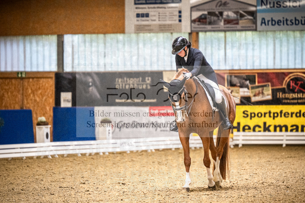 DOS_4199 | Entdecke hochwertige Reitturnierfotos von Foto Oger. Professionell, emotional und authentisch – jetzt Lieblingsmomente im Shop bestellen.Deutschlandweite Turnierfotografie. - Realisiert mit Pictrs.com