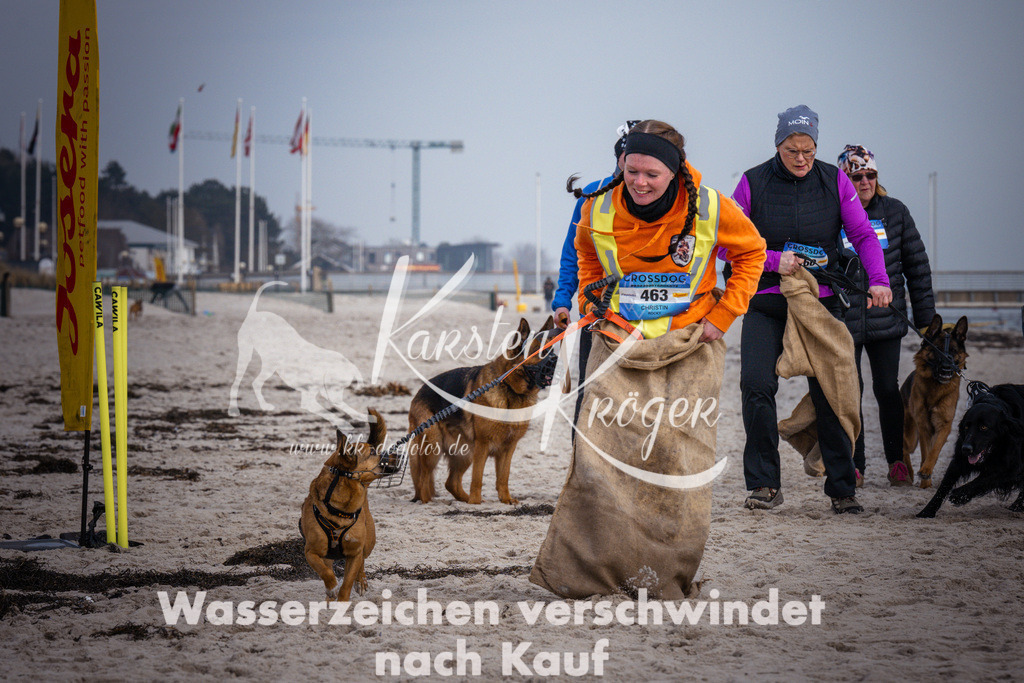 1304_ZZ98352 | kk-dogfotos
