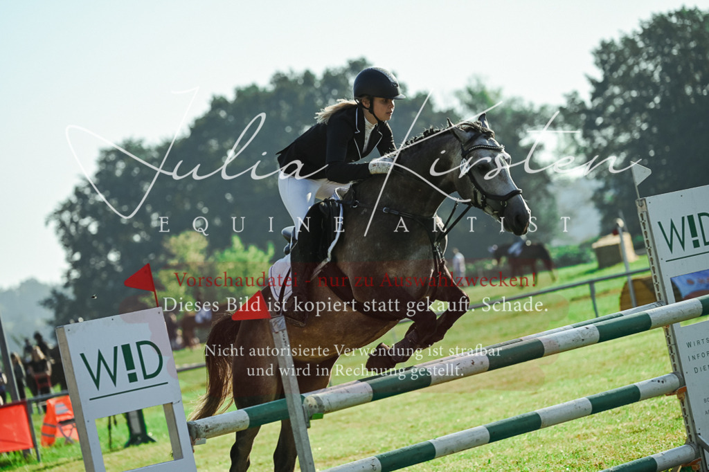 DSC_4475 | Pferde- und Turnierfotografie in Westsachsen. Pferdeportraits, Auftragszeichnungen und intuitive Kunst.