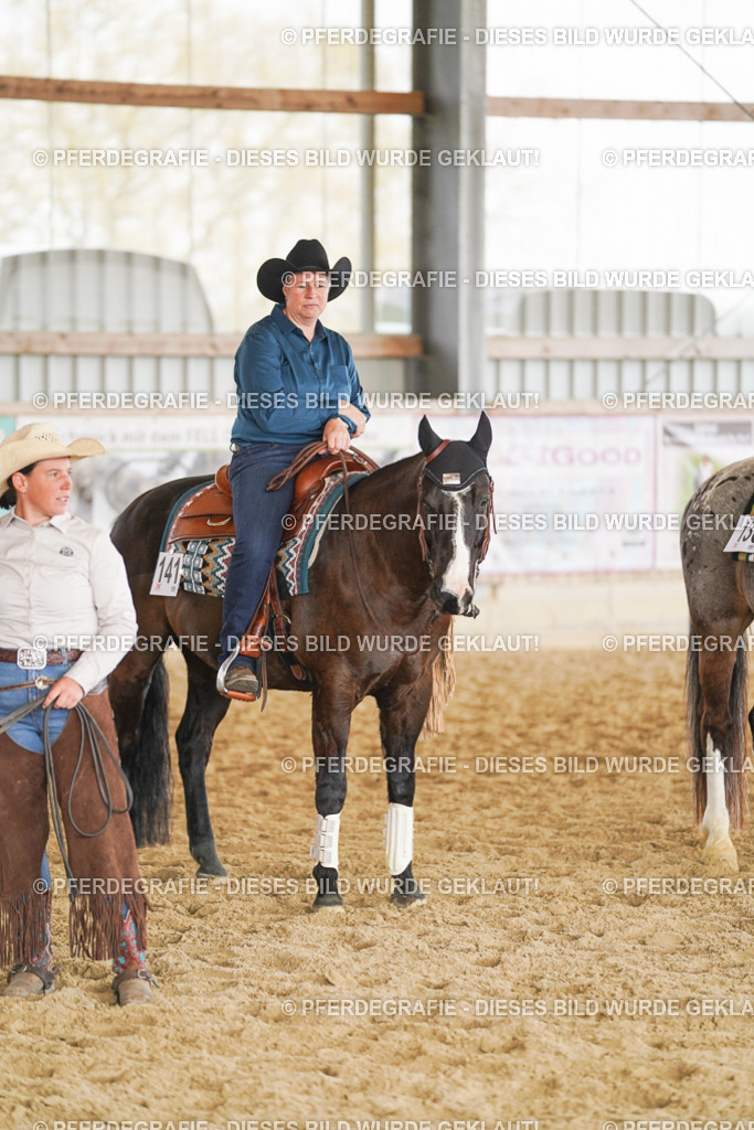 DSC02226 | Pferdegrafie