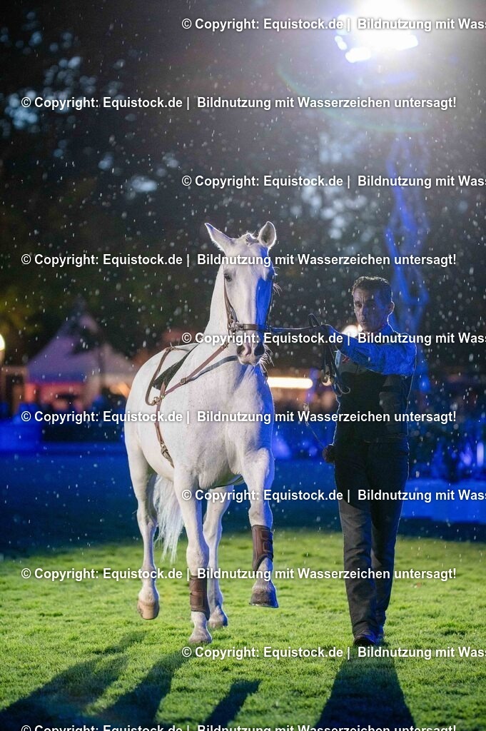 20250606_Lange-Pferdenacht_1100 | Foto: Thomas Hartig