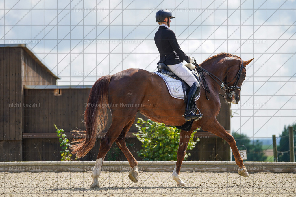 20230826-FAH05706 | Forstinning, 2023, Dressurturnier, Turniersportbilder, Turnierfotografen Bayern, Fotoagentur Herrmann, Reitsportfotografie, Turnierbilder