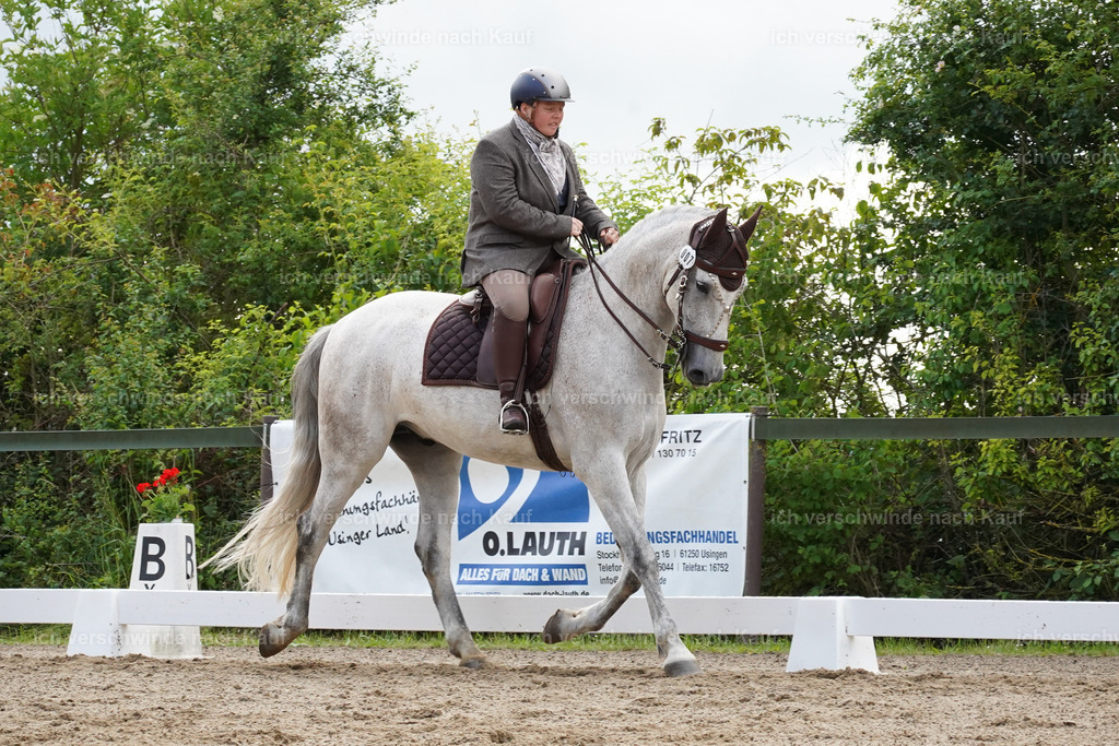 KlasseL_Lucie (5) | working equitationturnier fotograf videograf stoibphotography marixx film working equitation deutschland reitsport turnierfotografie eventfotografie equestrian events
