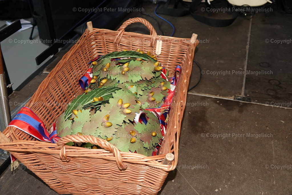 DSC01855 | Schwingen - Realisiert mit Pictrs.com