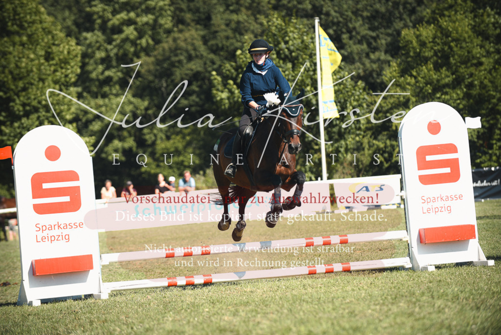 DSC_7586 | Pferde- und Turnierfotografie in Westsachsen. Pferdeportraits, Auftragszeichnungen und intuitive Kunst.