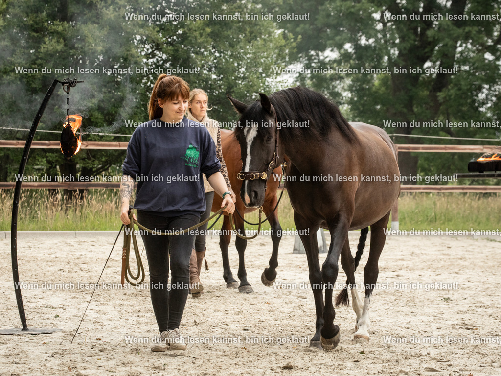 598A6432 | photographylinaismer - Realisiert mit Pictrs.com