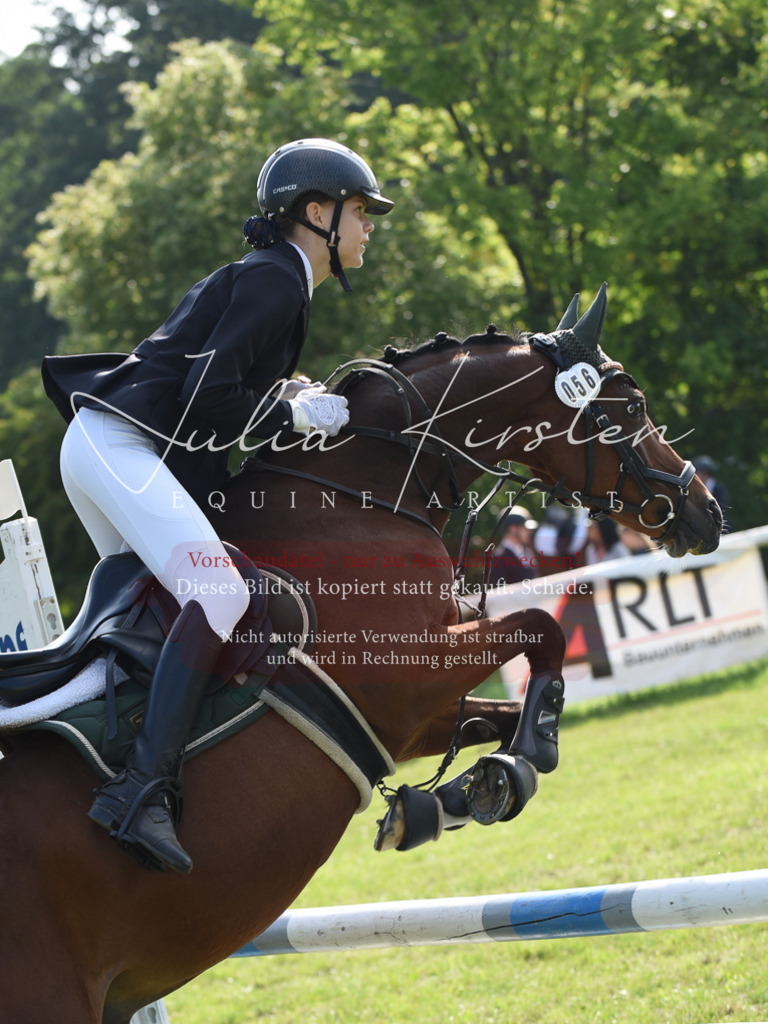 DSC_8927 | Pferde- und Turnierfotografie in Westsachsen. Pferdeportraits, Auftragszeichnungen und intuitive Kunst.