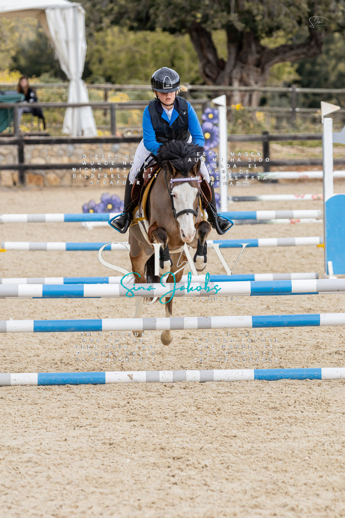 IMG_4647 | s-jay-photography - Realisiert mit Pictrs.com