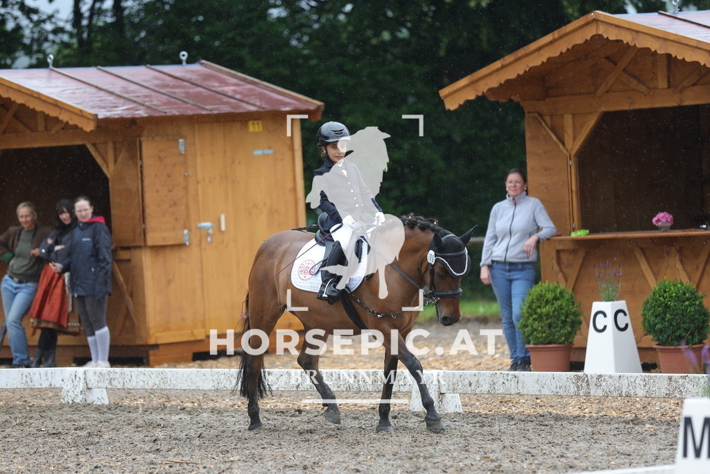 0P6A8877 | Willkommen bei Brunnmayr - Design & Fotografie – Ihrem Spezialisten für Reitturniere und Pferdeveranstaltungen in Oberösterreich, Salzburg und Bayern! Seit über 17 Jahren sind wir leidenschaftlich dabei.