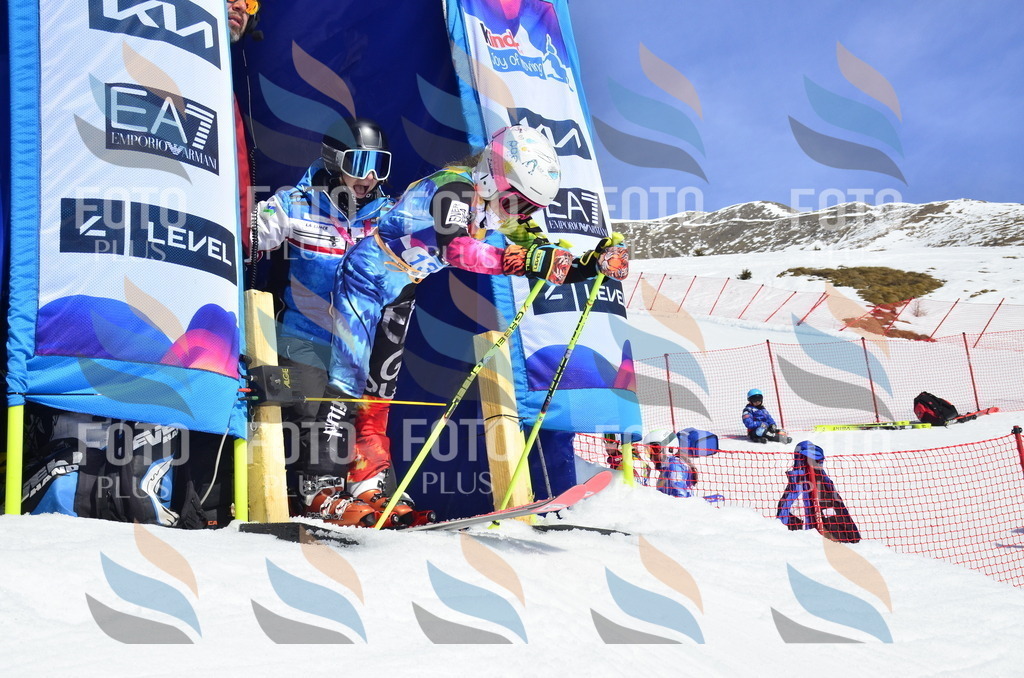 _ELE0819 | holidayphoto