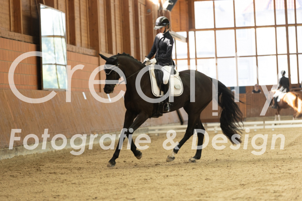 IMG_9511 | Creatify Fotografie