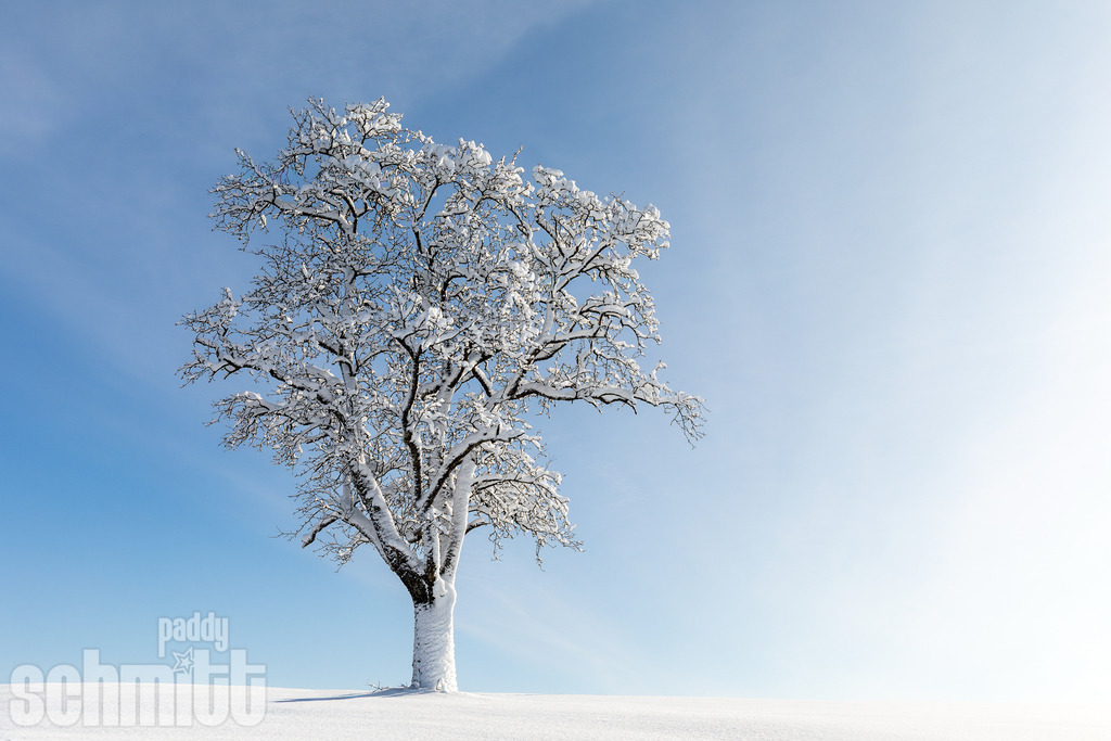 PS-Winter-2026-68 | Entdecke die größte Bildgalerie der Region mit Fotografien aus dem Allgäu, der Bodenseeregion, Oberschwaben, dem Donautal und der Schwäbischen Alb. Landschaften, Luftaufnahmen und Reisefotografie als Wandbild und Fotokunst. - Realisiert mit Pictrs.com