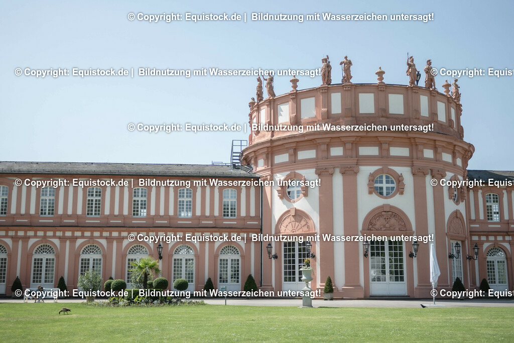 ZFC_3976 | equistock