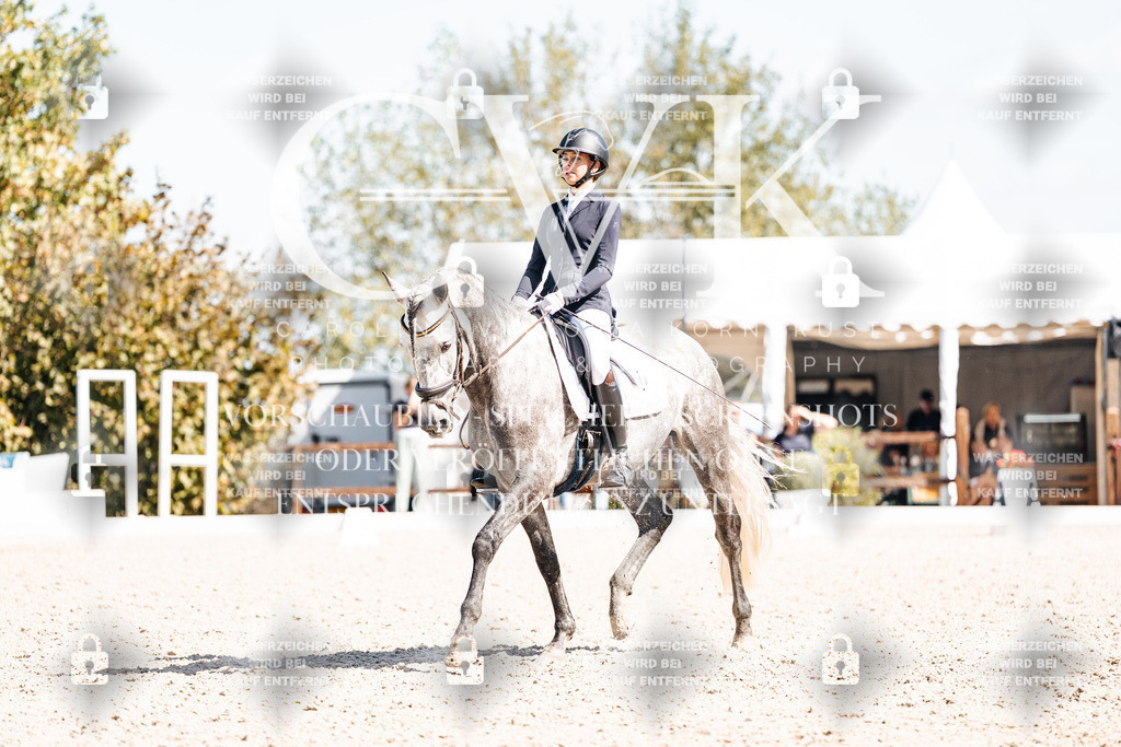 CK903791 | Turnierfotografie Pferdefotografie Trier Rheinland-Pfalz Pferdesport Reitsport Tierfotografie Sportfotografie Pferdevideo Pferdevideografie Equestrianvideography equestrianphotography  - Realisiert mit Pictrs.com
