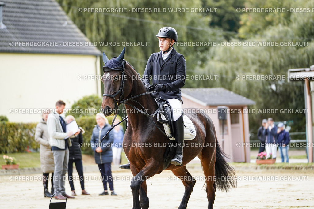 DSC04590 | Pferdegrafie