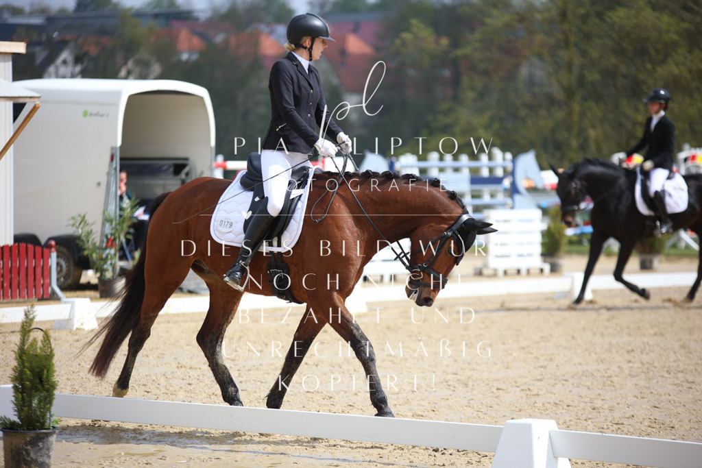 IMGT3716 | pl-fotografie