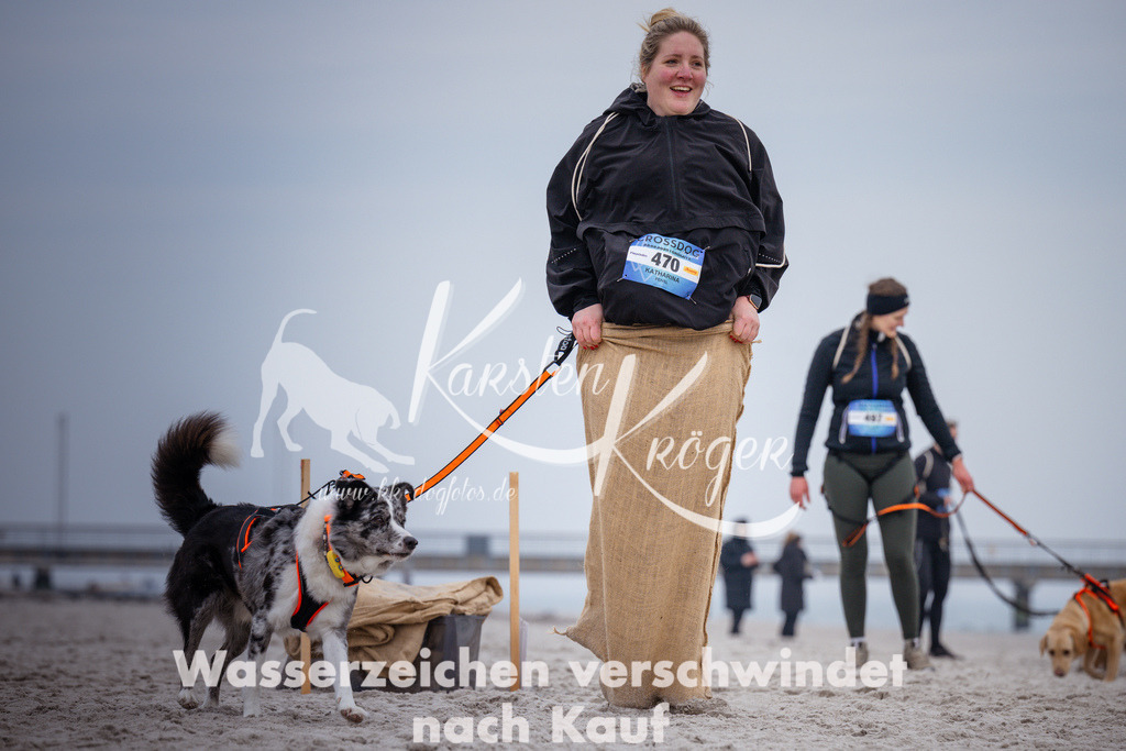 1212_ZZ92546 | kk-dogfotos