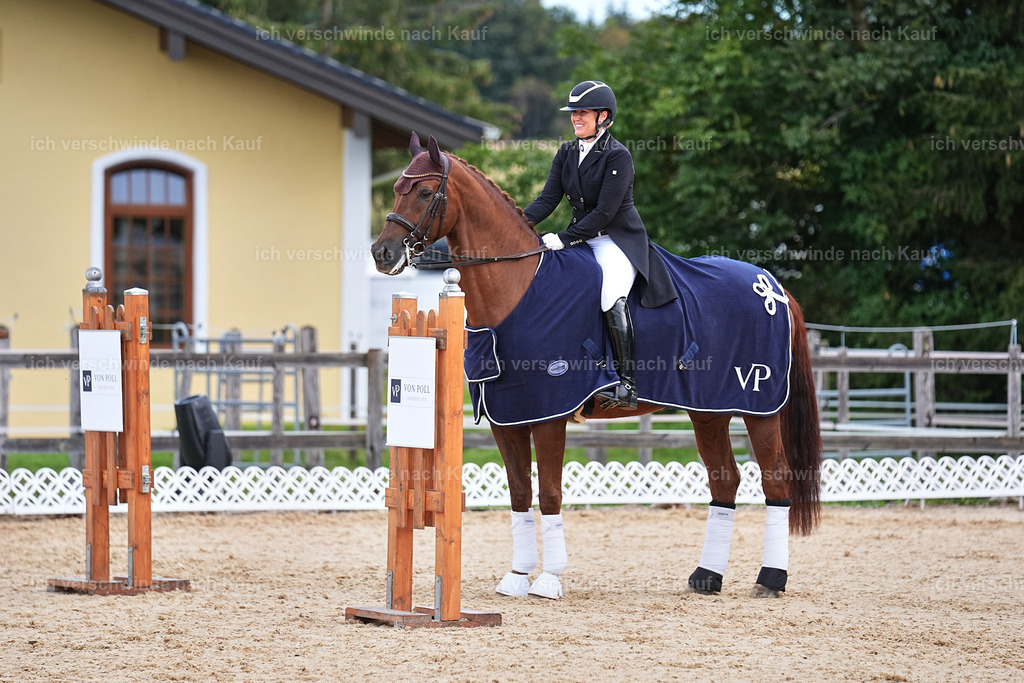 10-Siegerehrung-ST.GEORG SPECIAL -Marixx-3405 | working equitationturnier fotograf videograf stoibphotography marixx film working equitation deutschland reitsport turnierfotografie eventfotografie equestrian events