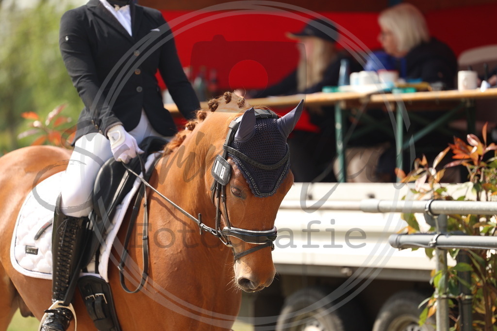 994A6716 | sabrinanicolaifotografie - Realisiert mit Pictrs.com