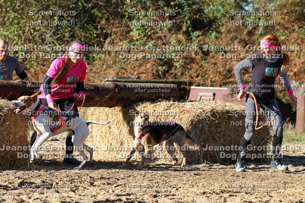 Dog Paparazzi - Strongdog 10-25-1945 | Dog Paparazzi Jeanette Grottendiek Fotografie & Videografie - Realisiert mit Pictrs.com