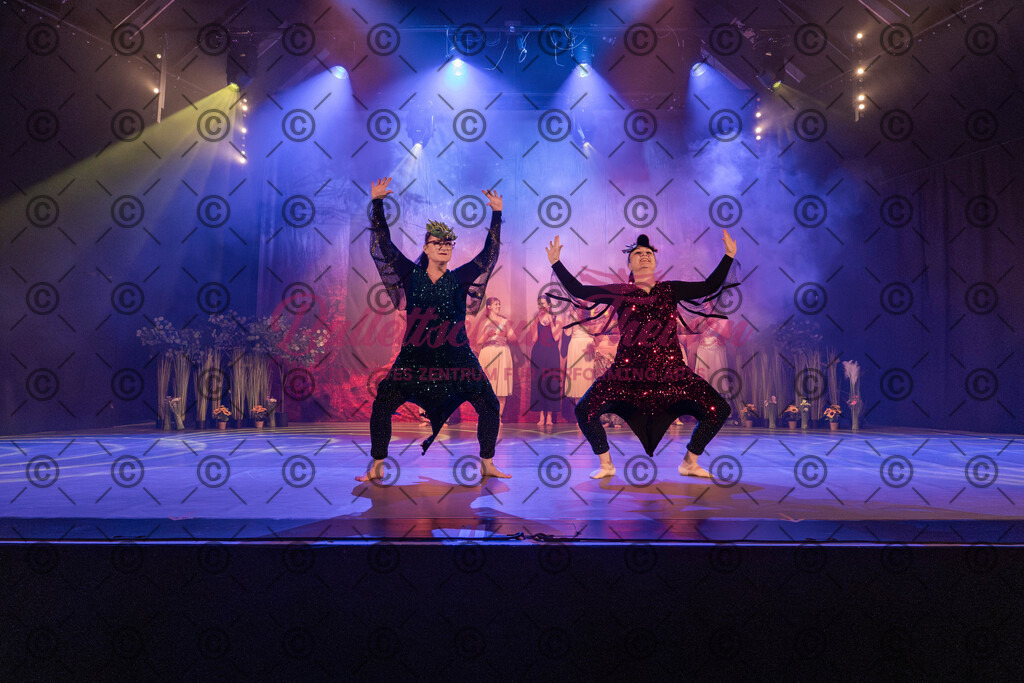 Ballettaufführung-1111 | Bildershop Lem'n Entertainment - Realisiert mit Pictrs.com