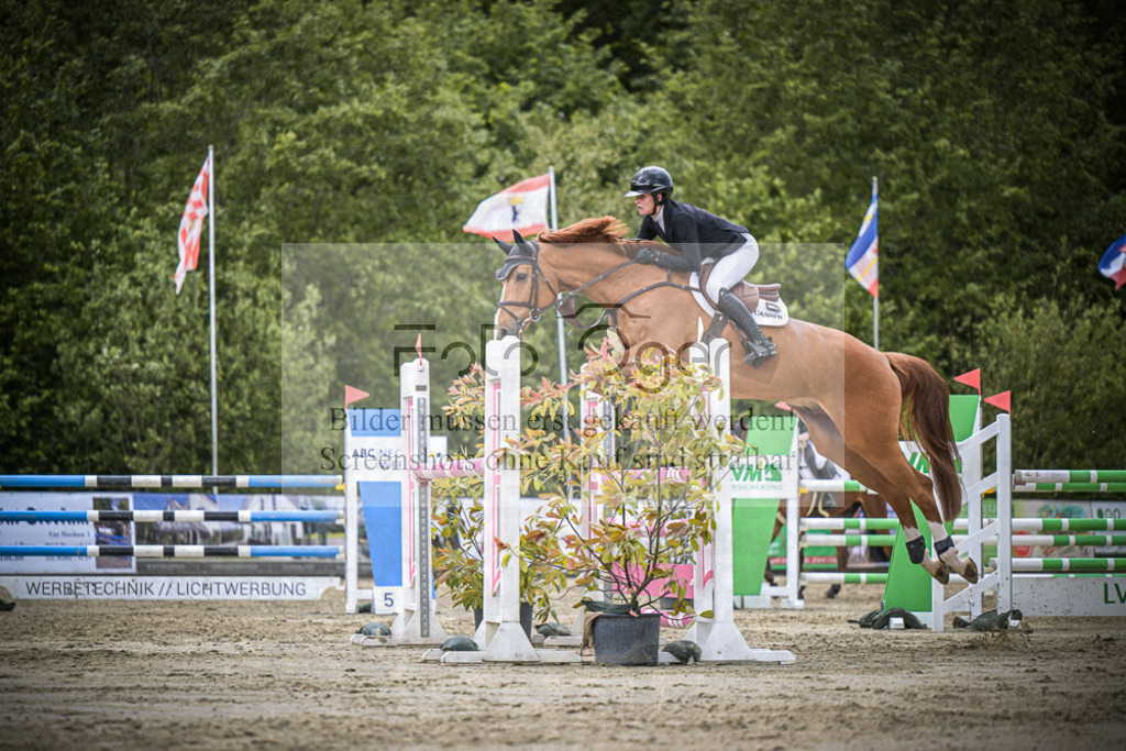 DOS_6299 | Entdecke hochwertige Reitturnierfotos von Foto Oger. Professionell, emotional und authentisch – jetzt Lieblingsmomente im Shop bestellen.Deutschlandweite Turnierfotografie. - Realisiert mit Pictrs.com