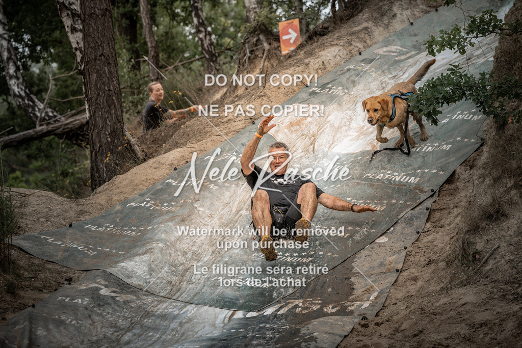 nelerasche_sa1230-1300_253 | nelerasche