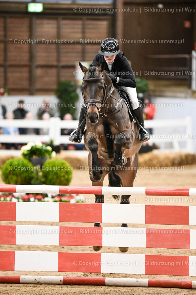 20260307_Hengstvorstellung-Marbach_0136 | equistock
