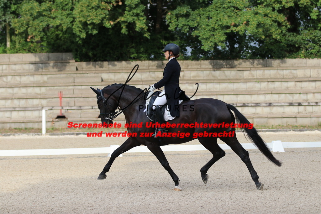 IMG_5904 | lmwpictures - Realisiert mit Pictrs.com