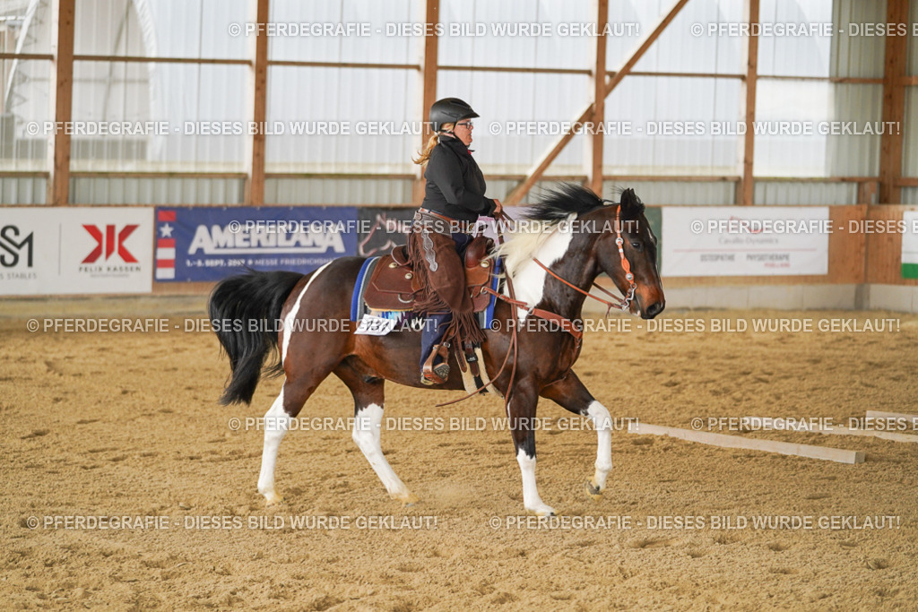 DSC03584 | Pferdegrafie