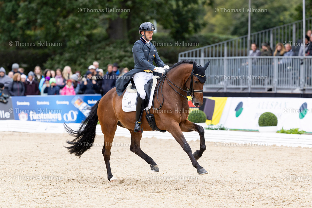 TH_311-CARRASCOSA Borja (GER)_ Franky Di Fonteabeti_21805 | CHI Donaueschingen 2024 am 14.09.24 in Donaueschingen, 311CARRASCOSA Borja (GER), Franky Di Fonteabeti