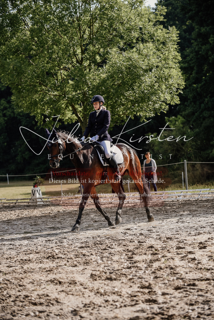 DSC_8816 | Pferde- und Turnierfotografie in Westsachsen. Pferdeportraits, Auftragszeichnungen und intuitive Kunst.
