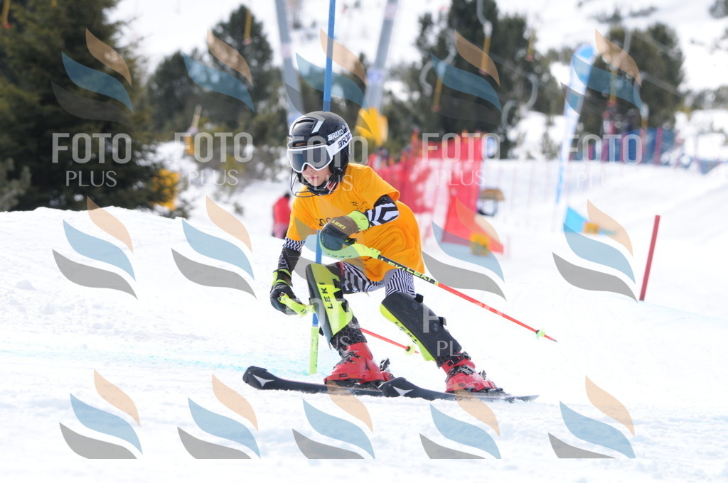 C7557 | holidayphoto