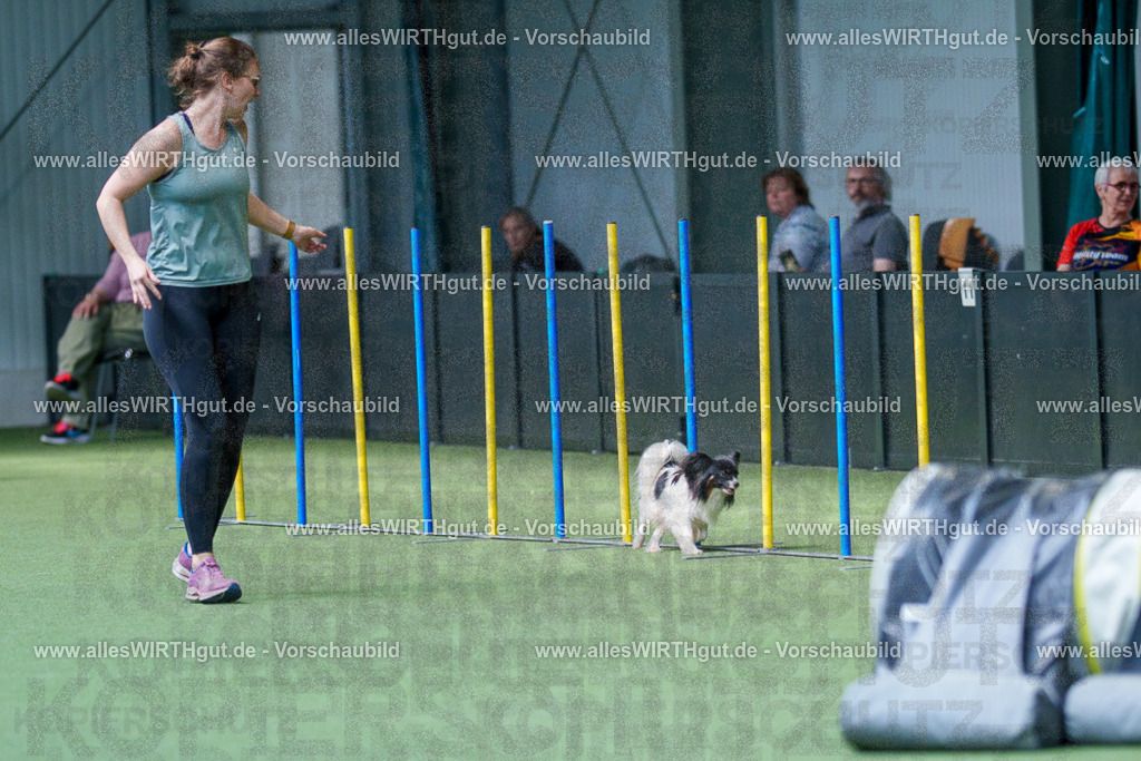 @allesWIRTHgut_Tierfotografie - www.allesWIRTHgut.de - 2604251449-7R505630 | Professionelle Tierfotografie in Mönchengladbach von Daniel Wirth (allesWIRTHgut). Liebevolle & natürliche Bilder von Hunden & Katzen für unvergessliche Erinnerungen.