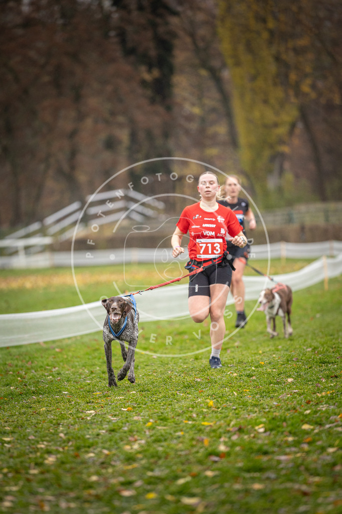 CaniXpix_DV3A9255 | Hundefotografie, Tierfotograf, Pfotenfotografie, Fotoshooting Hund, Hunde Portrait, Hundesport, Hundeportraits, Heideshooting, Hunde, Sportfotograf, Hundefotograf, Turnierhundsport, THS,  - Realisiert mit Pictrs.com