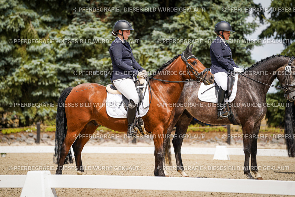 DSC03225 | Pferdegrafie