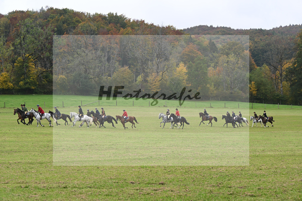 5622456 | hf-fotografie - Realizzato con Pictrs.com
