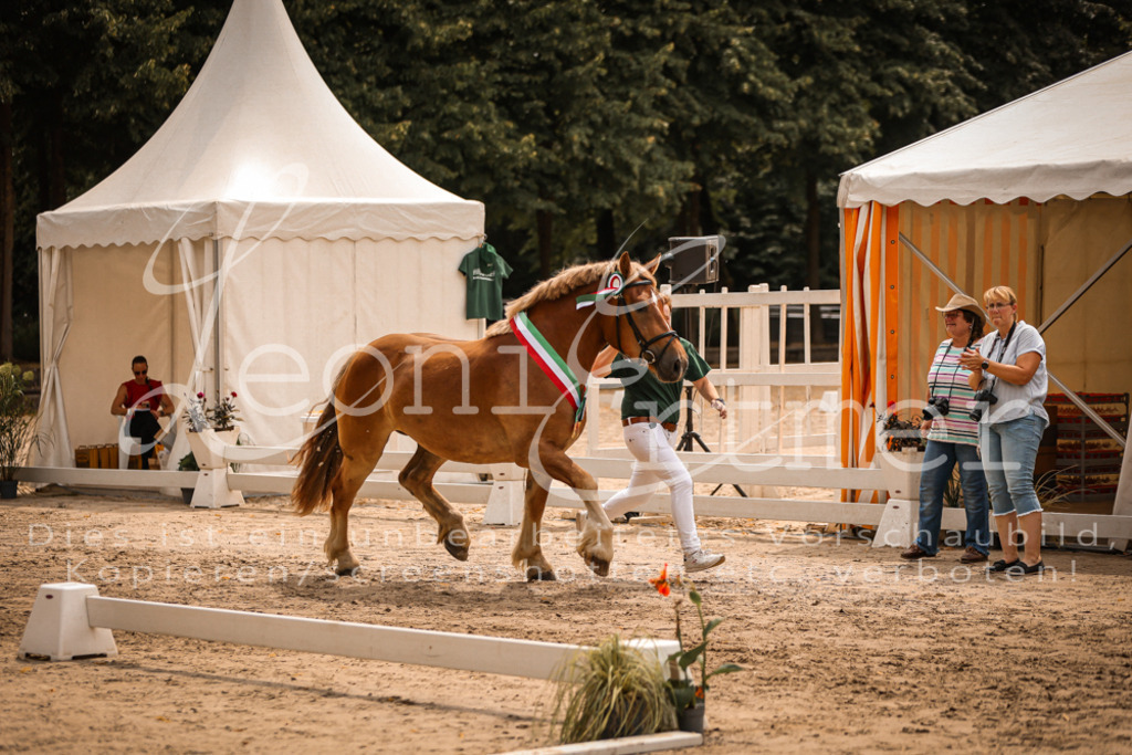 SaSieger00063 | Leoni Ertmer Photography - Realisiert mit Pictrs.com