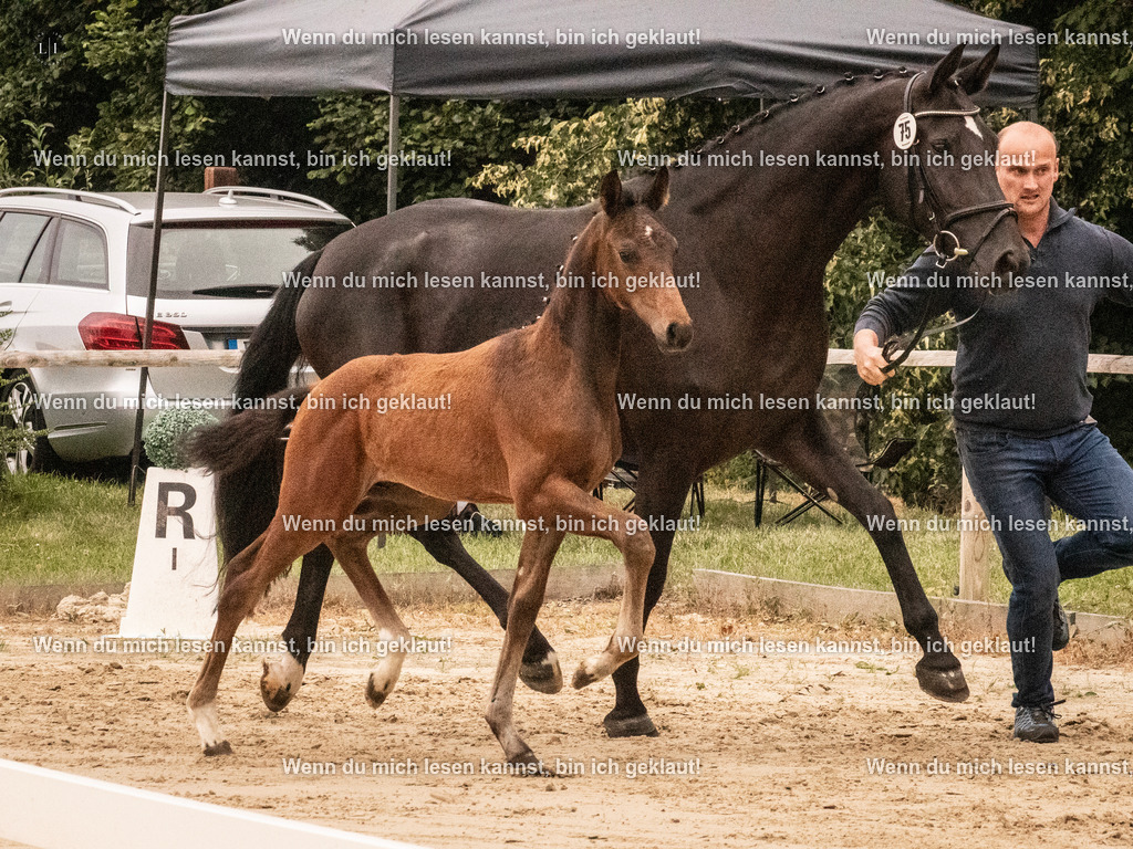 A10I1497 | photographylinaismer - Realisiert mit Pictrs.com