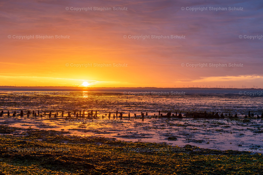 Sonnenaufgang im Wattenmeer | Sonnenaufgang vor der dänischen Wattenmeerinsel Rømø. Sie gehört zum Nationalpark Vadehavet. Von hier aus sind es nur rund drei Kilometer bis zur deutschen Ferieninsel Sylt.  - Realisiert mit Pictrs.com