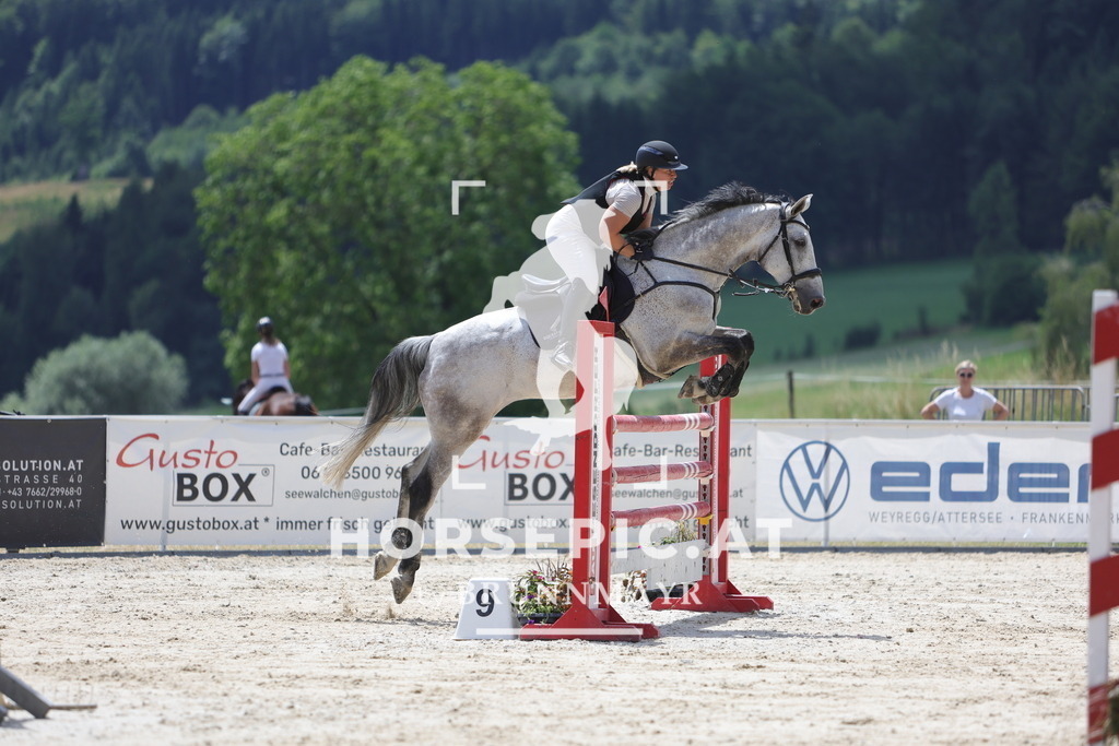 0P6A0735 | Willkommen bei Brunnmayr - Design & Fotografie – Ihrem Spezialisten für Reitturniere und Pferdeveranstaltungen in Oberösterreich, Salzburg und Bayern! Seit über 17 Jahren sind wir leidenschaftlich dabei.