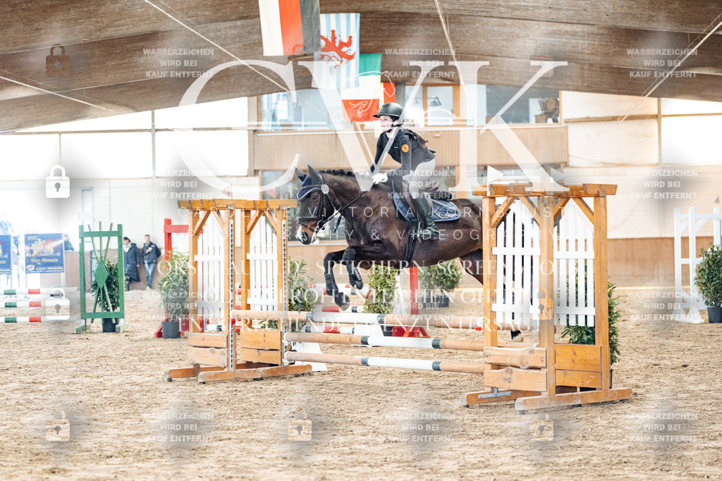 CK903779 | Turnierfotografie Pferdefotografie Trier Rheinland-Pfalz Pferdesport Reitsport Tierfotografie Sportfotografie Pferdevideo Pferdevideografie Equestrianvideography equestrianphotography  - Realisiert mit Pictrs.com