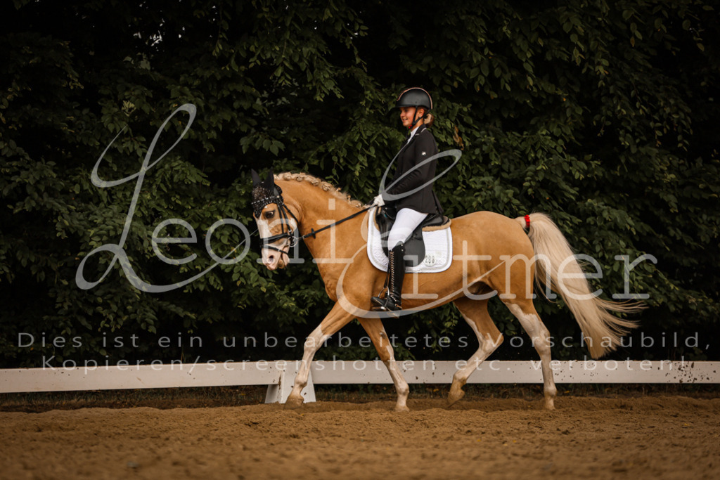 DoDrE00389 | Leoni Ertmer Photography - Realisiert mit Pictrs.com