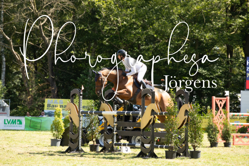 IMG_9083 | photographesa-joergens - Realisiert mit Pictrs.com