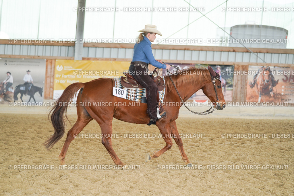 DSC01687 | Pferdegrafie