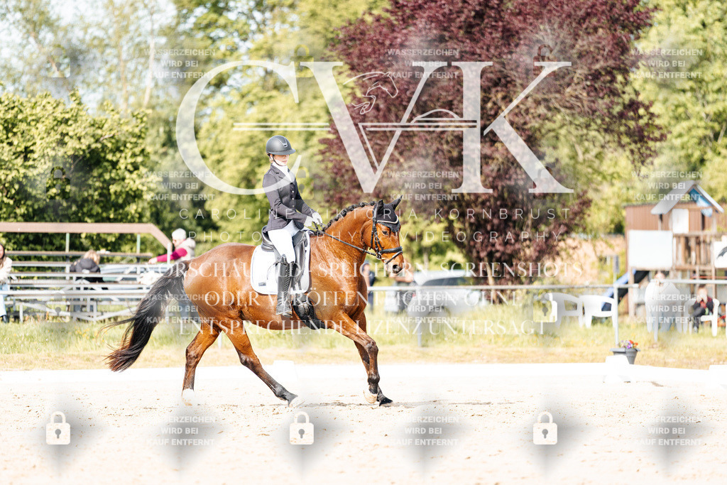 CK900404 | Turnierfotografie Pferdefotografie Trier Rheinland-Pfalz Pferdesport Reitsport Tierfotografie Sportfotografie Pferdevideo Pferdevideografie Equestrianvideography equestrianphotography  - Realisiert mit Pictrs.com
